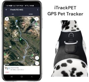 Get Highly Precise Readings w/ Pet Tracker Mini Dog Tracking Collar Device Size:XL