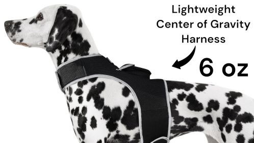Realtime GPS Dog Collar High Rated Reviews Pet Location Finder w/ App Size:S